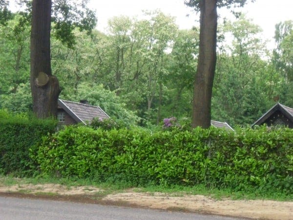 Typisch für das Ruhrgebiet, begrünte Bergehalden