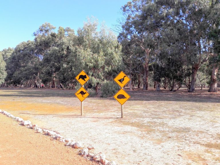 Kangaroo Island, die drittgrößte Insel Australiens, ein riesiger Naturpark