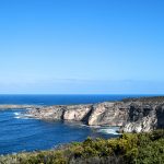 Kangaroo-Island, die drittgrößte Insel Australiens ist ein riesiger Naturpark - freilaufende Kangurus und Koalas, sowie einem Strand nur für die Seelöwen