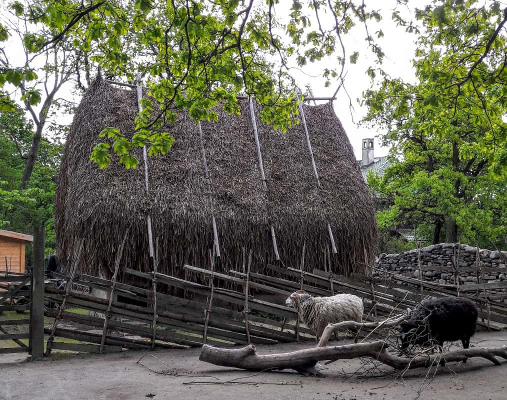 NOrdiska Museum - Skansen Freilichtmuseum - beide sind einen Besuch wert