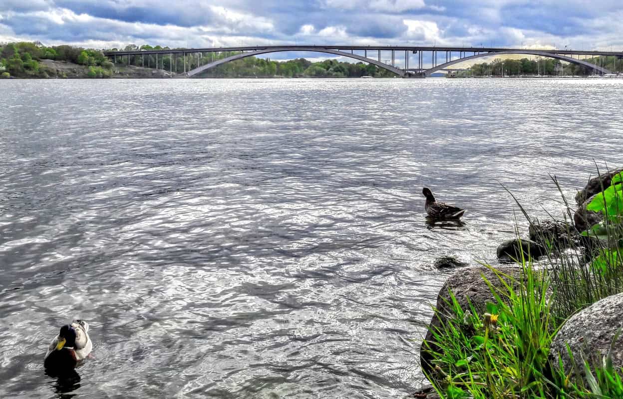 Stockholm, die schwedische Hauptstadt - meine ersten Eindrücke