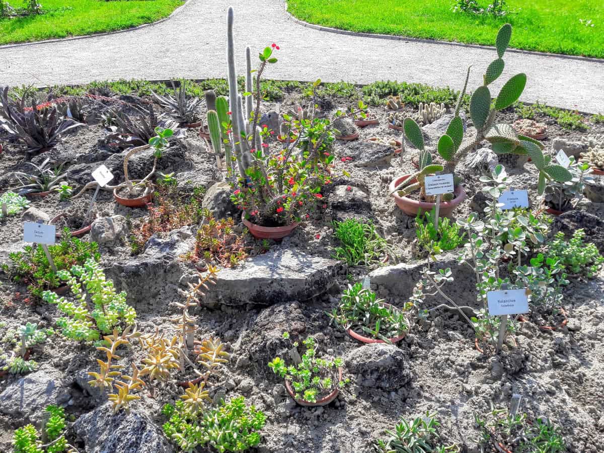 Arcotel Allegra in Zagreb und wie ich meine Zeit verbracht habe