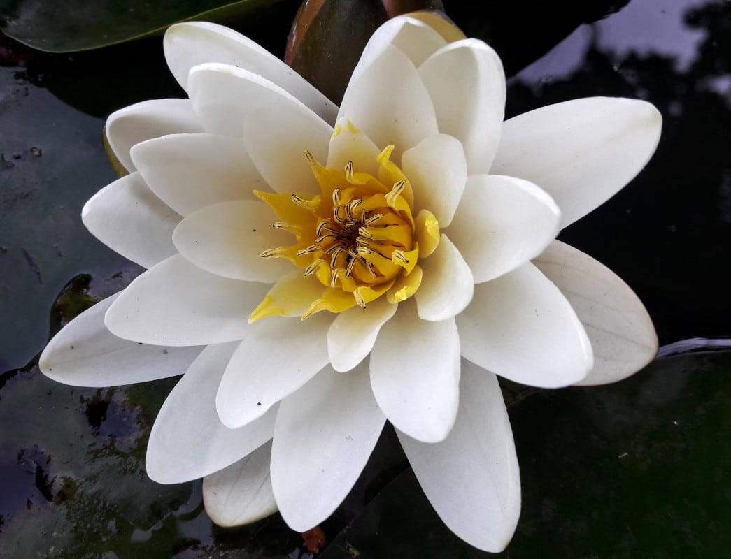 Arcotel Allegra, Zagreb - mein erster Besuch in Kroatien