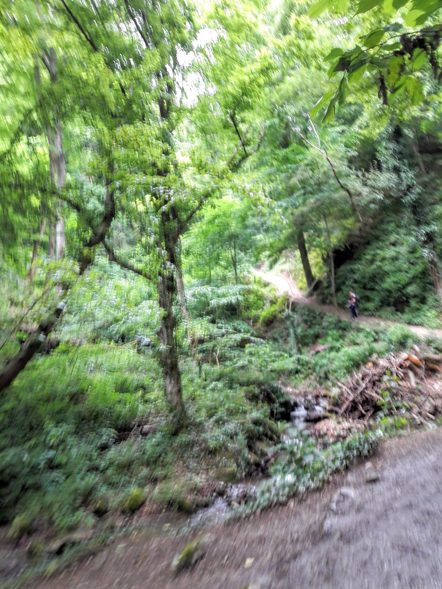 Arcotel Allegra in Zagreb und wie ich meine Zeit verbracht habe