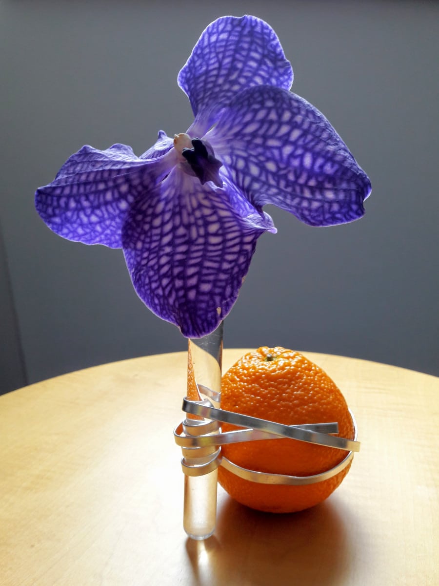 Arcotel Allegra in Zagreb und wie ich meine Zeit verbracht habe