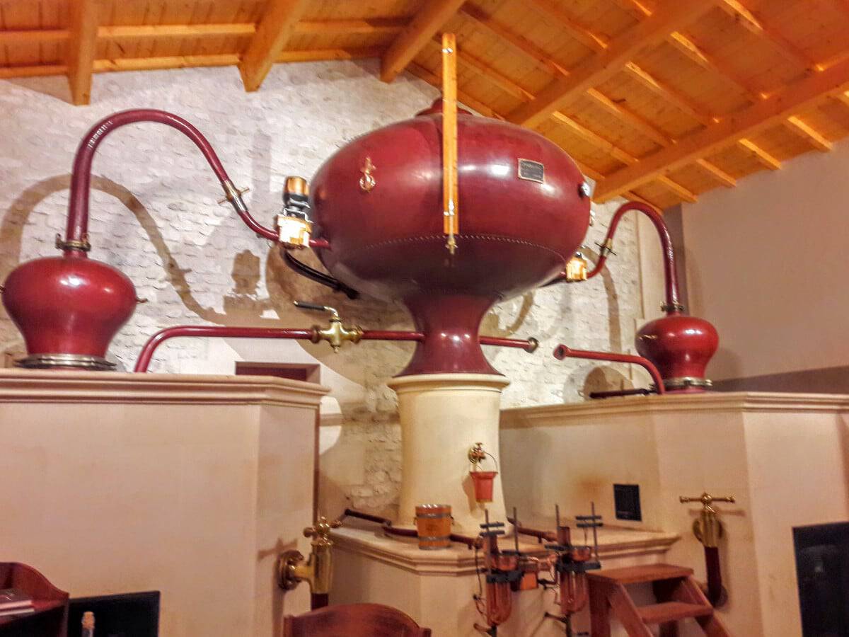 Château Montifaud - von der Traube bis ins Cognacglas