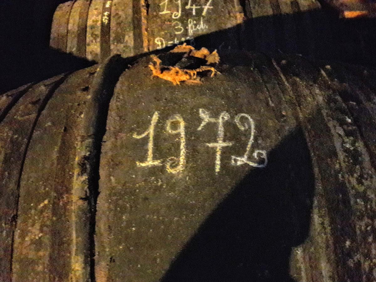 Château Montifaud - von der Traube bis ins Cognacglas