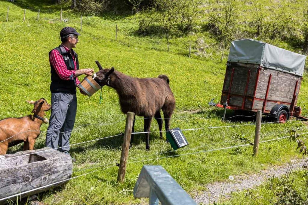 Biohotel Schwanen, Bizau im Bregenzerwald, Vorarlberg, Produkte aus biologischem Anbau, Emanuel Moosbrugger Wein-, Biersommelier, Werkraum