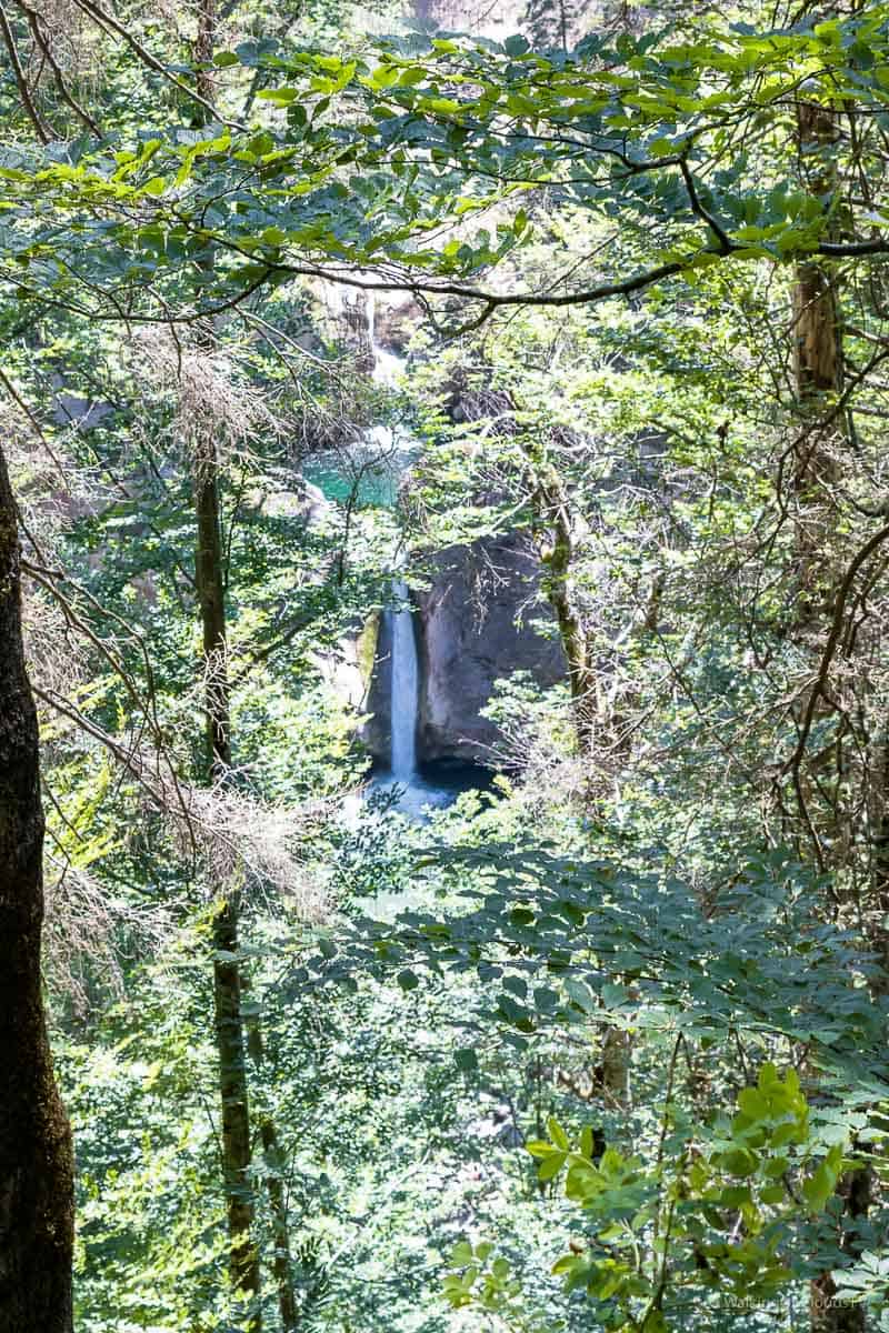 Urlaub im Hotel Bayrischer Hof, Oberstaufen, Oberallgäu, Erholung, Wandern, Schrothkur, Buchenegger-Wasserfälle, Wellness, Nagelfluhkette, Alpe, Käserei, Best Ager