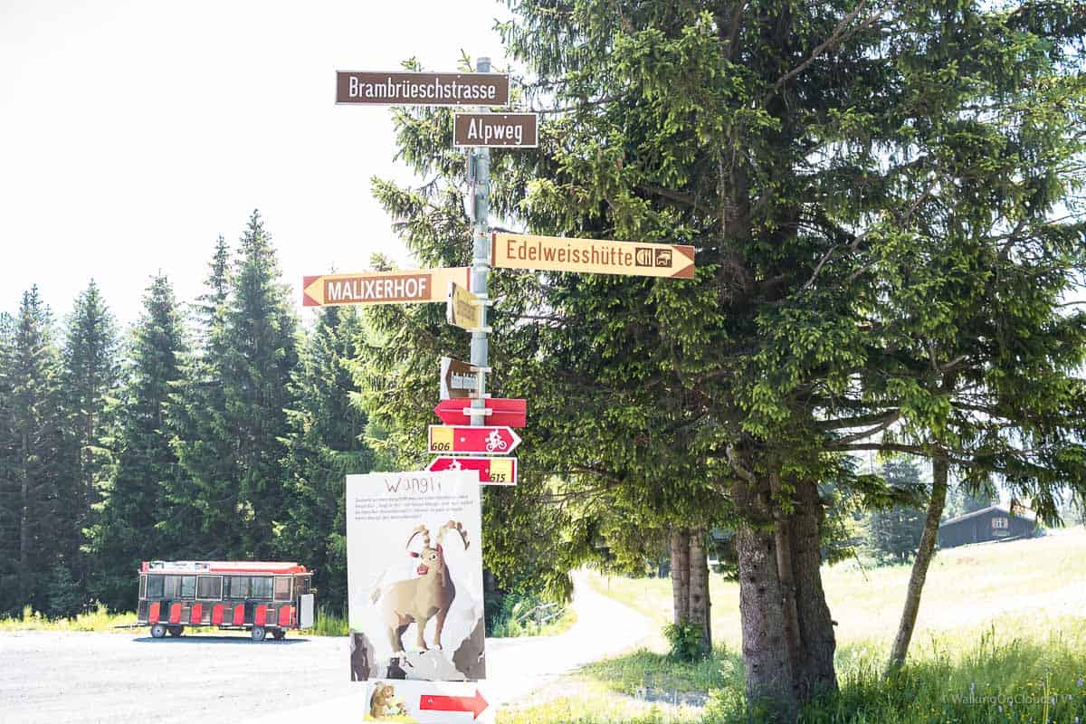 Chur, Graubünden, Schweiz, Rhätische-Bahn, Arosa, wandern, Brambruesch, Biken, Reformation, Museum, Forum-Würth, Kunsthaus, Stadtführung, Best Ager