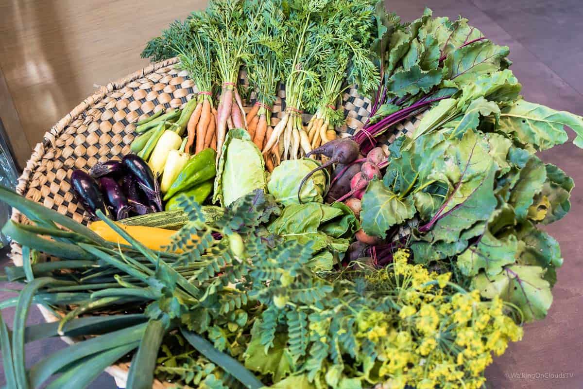 Tian das vegetarische Gourmet Restaurant in Wien, Küchenchef Paul Ivic, Tian Bistro, Ritz-Carlton, Rooftop-Bar, Dstrikt Steakhouse, Hotel, Wellness, Best Ager, Sterneküche