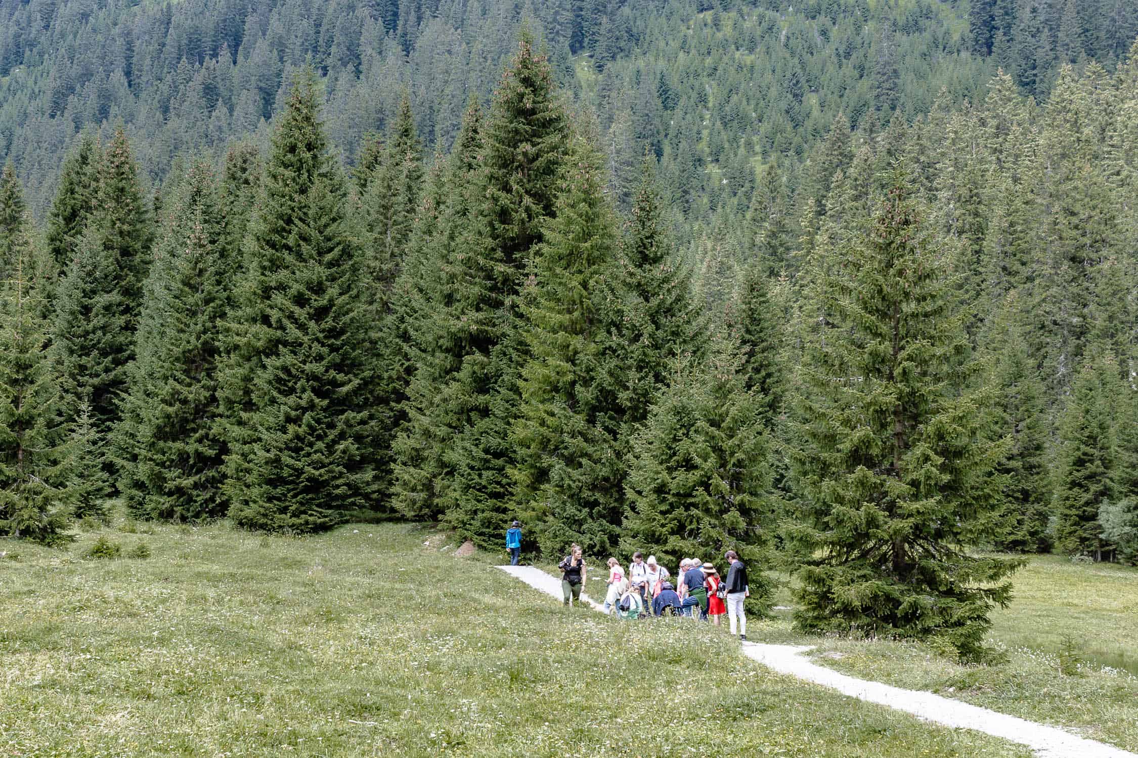 Medicinicum in Lech am Arlberg, Thema, Medizin in Ost und West, Schulmedizin, Ayurveda, Shiatsu, Yoga, gesunde Ernährung, Kräuterkunde, Anti-Aging, Best Ager