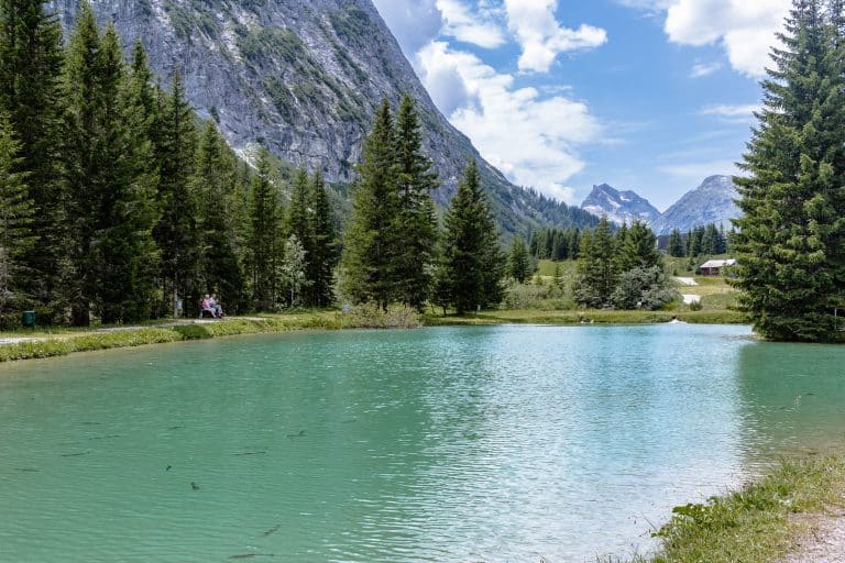 Medicinicum in Lech am Arlberg, Thema, Medizin in Ost und West, Schulmedizin, Ayurveda, Shiatsu, Yoga, gesunde Ernährung, Kräuterkunde, Anti-Aging, Best Ager