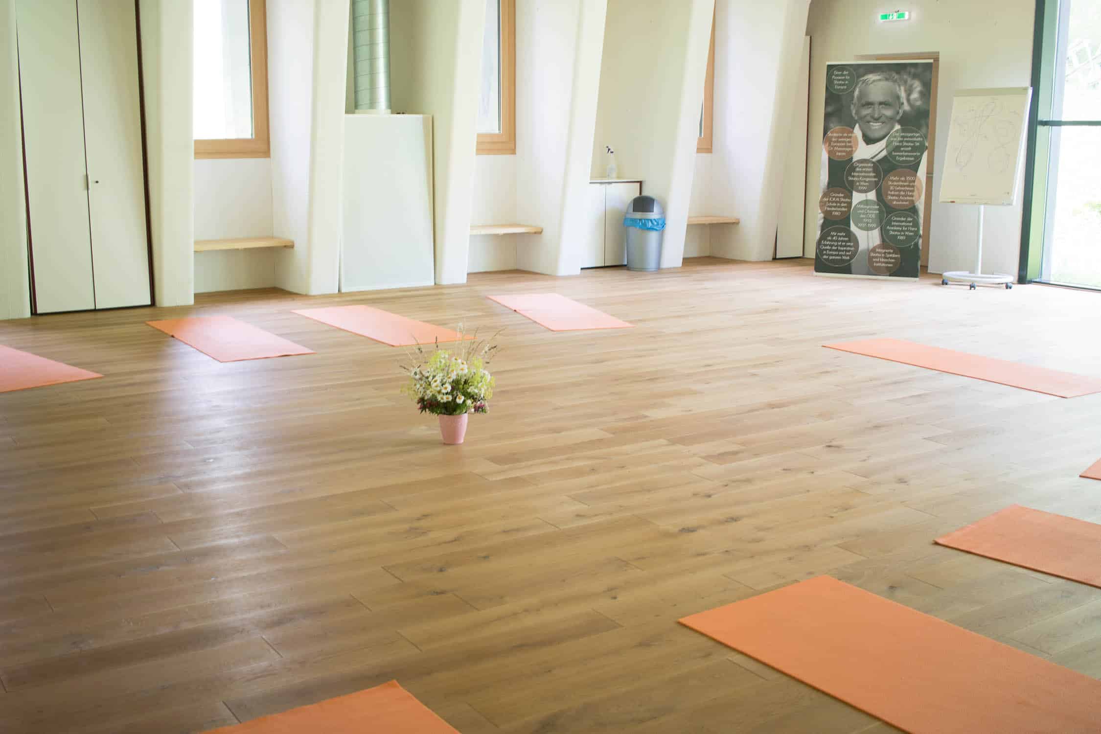 Medicinicum in Lech am Arlberg, Thema, Medizin in Ost und West, Schulmedizin, Ayurveda, Shiatsu, Yoga, gesunde Ernährung, Kräuterkunde, Anti-Aging, Best Ager