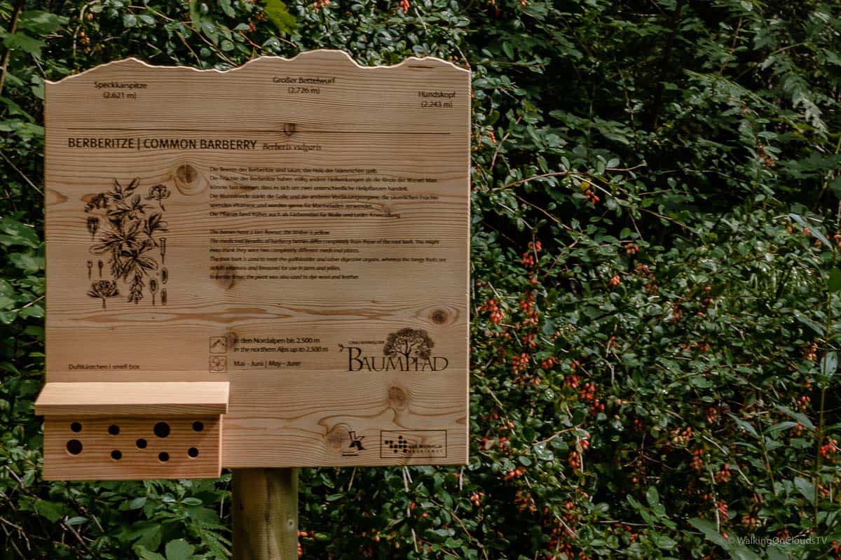 Best Ager Reiseblog in Hall Wattens - Sehenswürdigkeiten in Tirol - Kochkurs und Bergsteigen - Wandern und Erholung beim Aufenthalt in Österreich - Reiseblogger