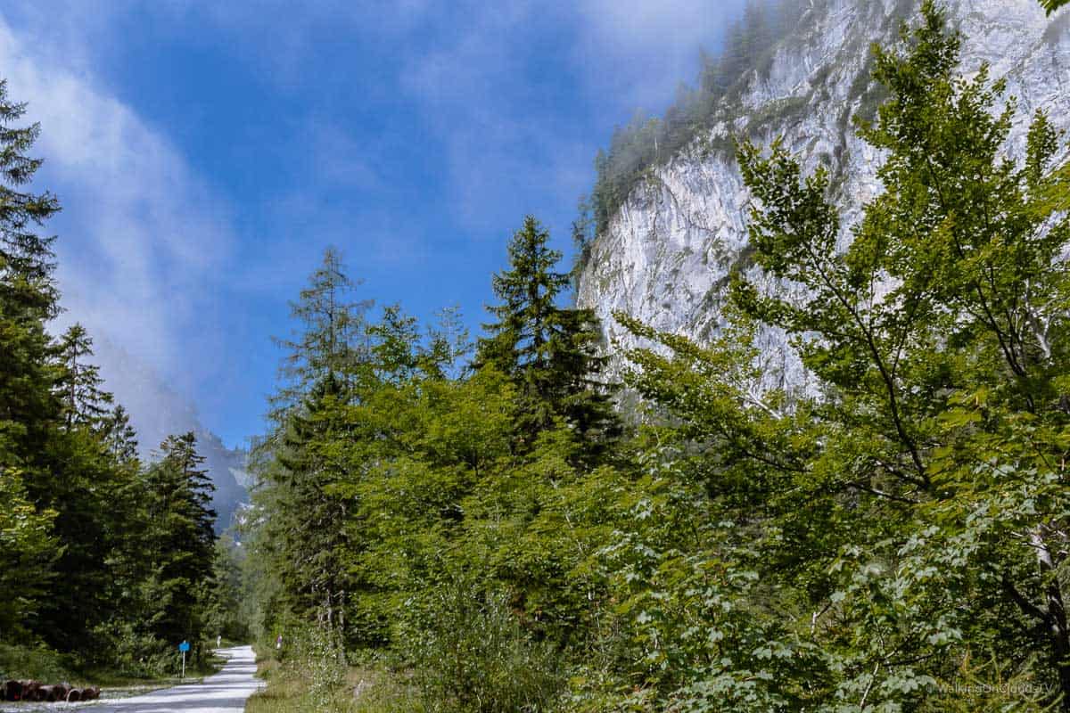 Best Ager Reiseblog in Hall Wattens - Sehenswürdigkeiten in Tirol - Kochkurs und Bergsteigen - Wandern und Erholung beim Aufenthalt in Österreich - Reiseblogger