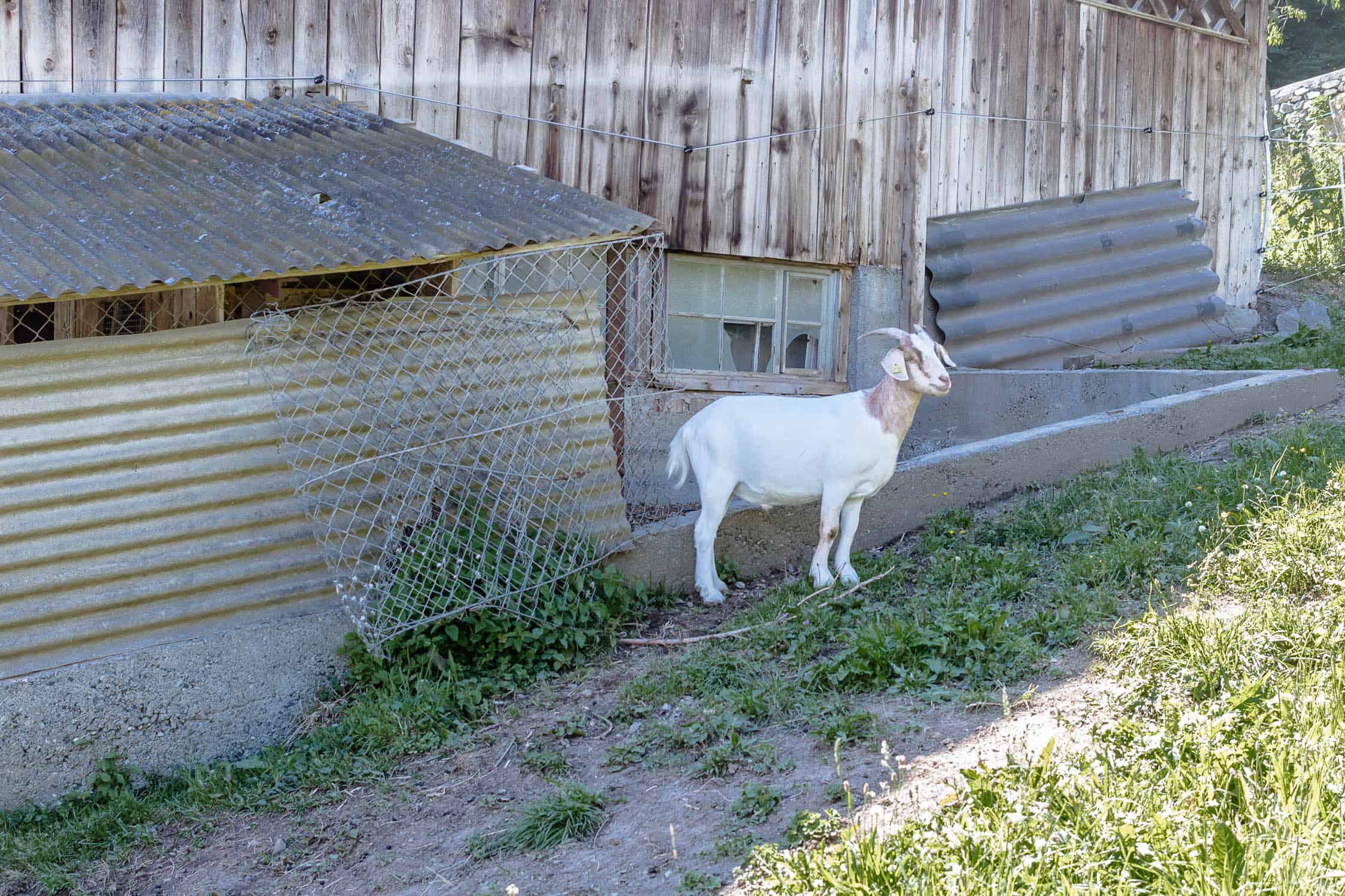 Montafon südlichstes Tal in Vorarlberg ist Sommer wie Winter ein schöner Urlaubsort. Schruns ist idealer Ausgangspunkt zum Wandern, Mountaunbiketouren, Klettern,