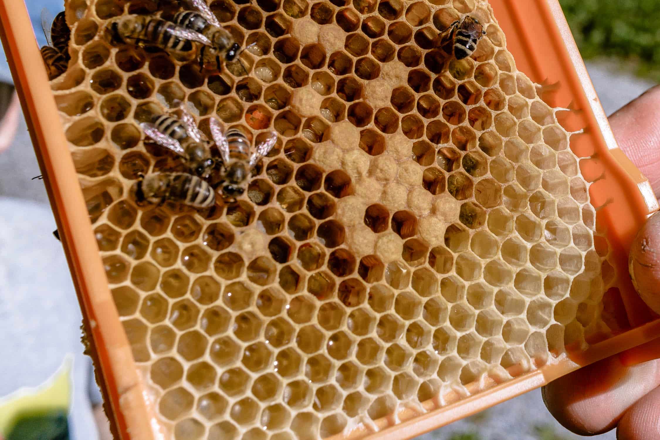 Montafon südlichstes Tal in Vorarlberg ist Sommer wie Winter ein schöner Urlaubsort. Schruns ist idealer Ausgangspunkt zum Wandern, Mountaunbiketouren, Klettern,