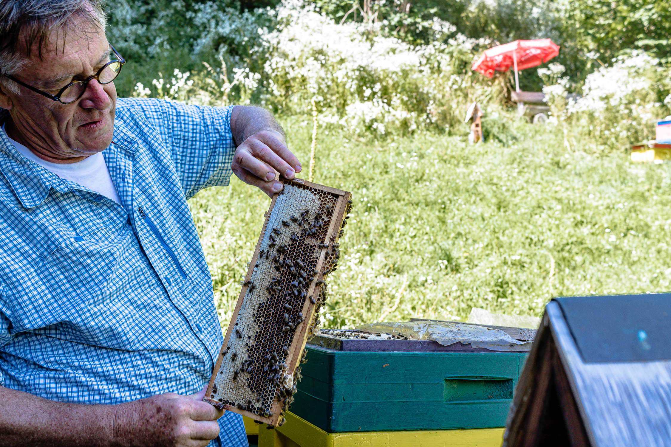 Montafon südlichstes Tal in Vorarlberg ist Sommer wie Winter ein schöner Urlaubsort. Schruns ist idealer Ausgangspunkt zum Wandern, Mountaunbiketouren, Klettern,