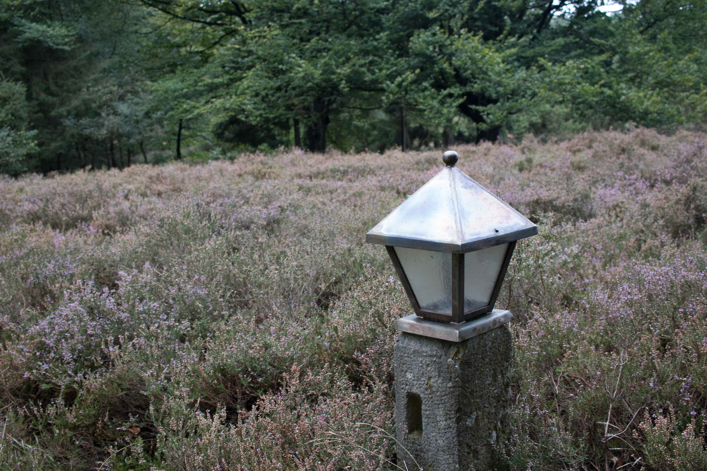 Hotel de Wiemsel in Ootmarsum, Restaurant de Wanne, Dinkelland, Ton Schulten, Freilichtmuseum, Schulmuseum, Svingraven, Twente, Springendal, Wandern, Radfahren