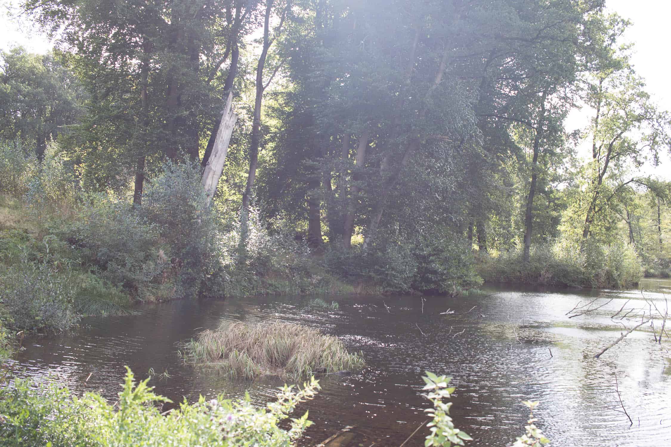 Hotel de Wiemsel in Ootmarsum, Restaurant de Wanne, Dinkelland, Ton Schulten, Freilichtmuseum, Schulmuseum, Svingraven, Twente, Springendal, Wandern, Radfahren