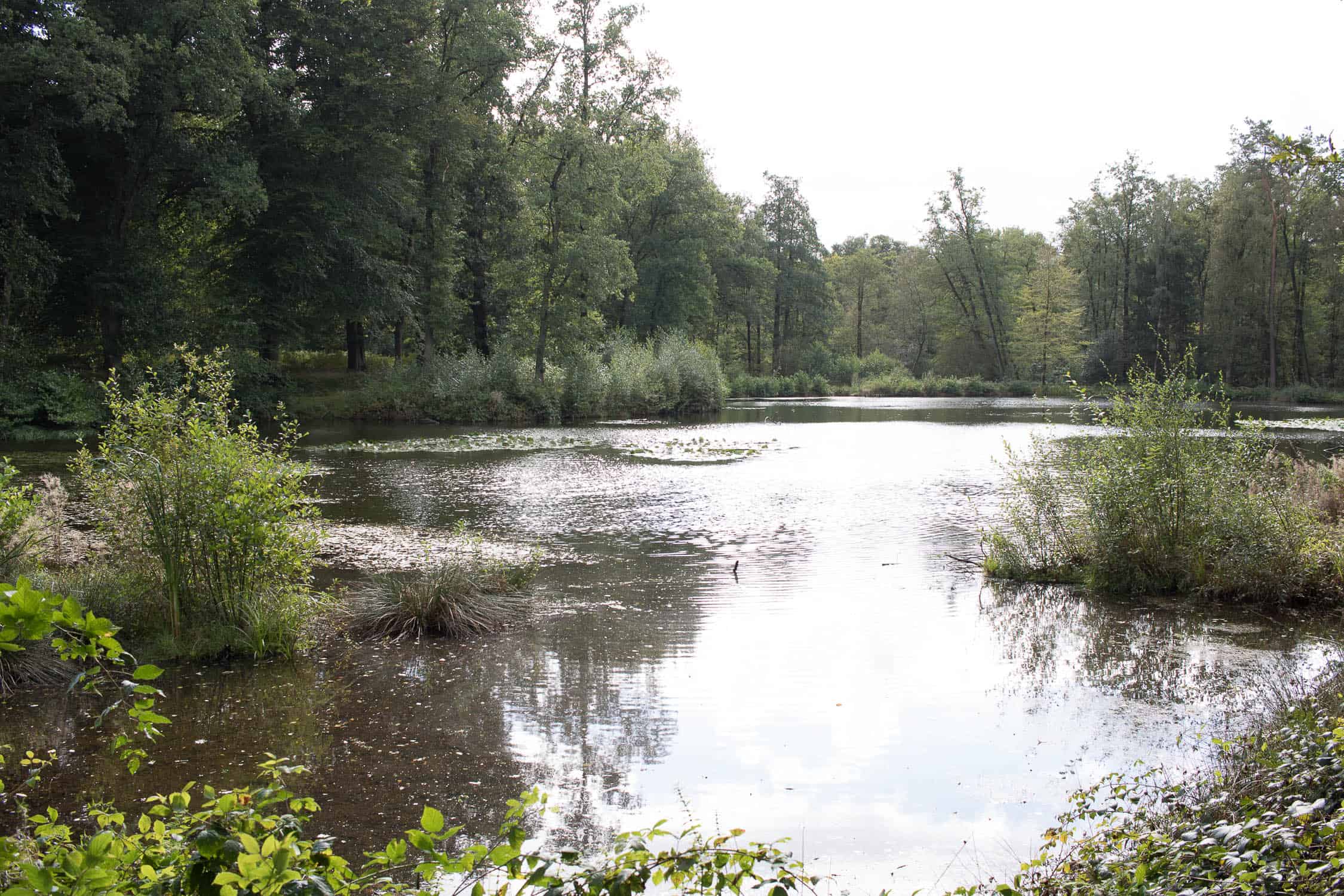 Hotel de Wiemsel in Ootmarsum, Restaurant de Wanne, Dinkelland, Ton Schulten, Freilichtmuseum, Schulmuseum, Svingraven, Twente, Springendal, Wandern, Radfahren