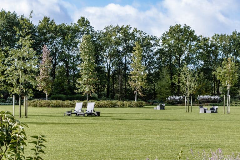 Restaurant de Wanne in Ootmarsum serviert die regionale und internationale gehobene Küche. Zutaten aus der Region, Hotel de Wiemsel, vier Sterne Premium,