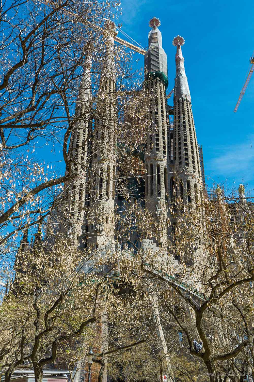 Kreuzfahrtblogger in Barcelona - Ausflüge im Angebot der TUI Cruises Mein Schiff5 - Erlebnis als Best-Ager-Reiseblogger in Spanien - Sagrada Familia - Park Gaudi , Aussicht Barcelona - Sehenswürdigkeiten Barcelona