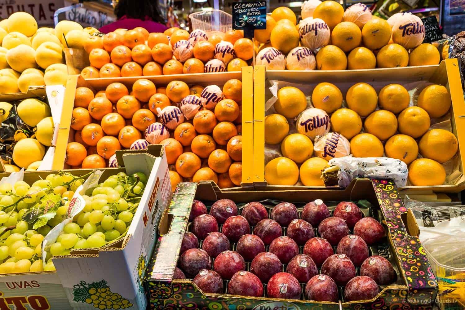 Mit Kreuzfahrtschiff in Barcelona - Anlegen im Hafen - Las Ramblas und Wochenmarkt - Welche Ausflüge bietet TUI Mein Schiff in Spanien an? Erfahrungen als Kreuzfahrtblogger und Reiseblogger auf der TUI Cruises