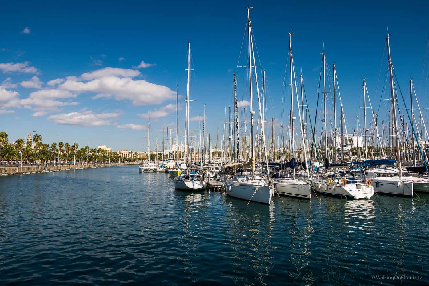 Mit Kreuzfahrtschiff in Barcelona - Anlegen im Hafen - Las Ramblas und Wochenmarkt - Welche Ausflüge bietet TUI Mein Schiff in Spanien an? Erfahrungen als Kreuzfahrtblogger und Reiseblogger auf der TUI Cruises