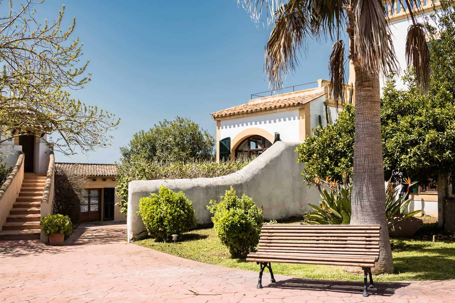 Yoga und Wandern auf Mallorca, meine ersten Erfahrungen, Retreat Finca Son Manera, Palma, Kathedrale, Arabische Bäder, Soller, walking, Best Ager, Alleinreisende