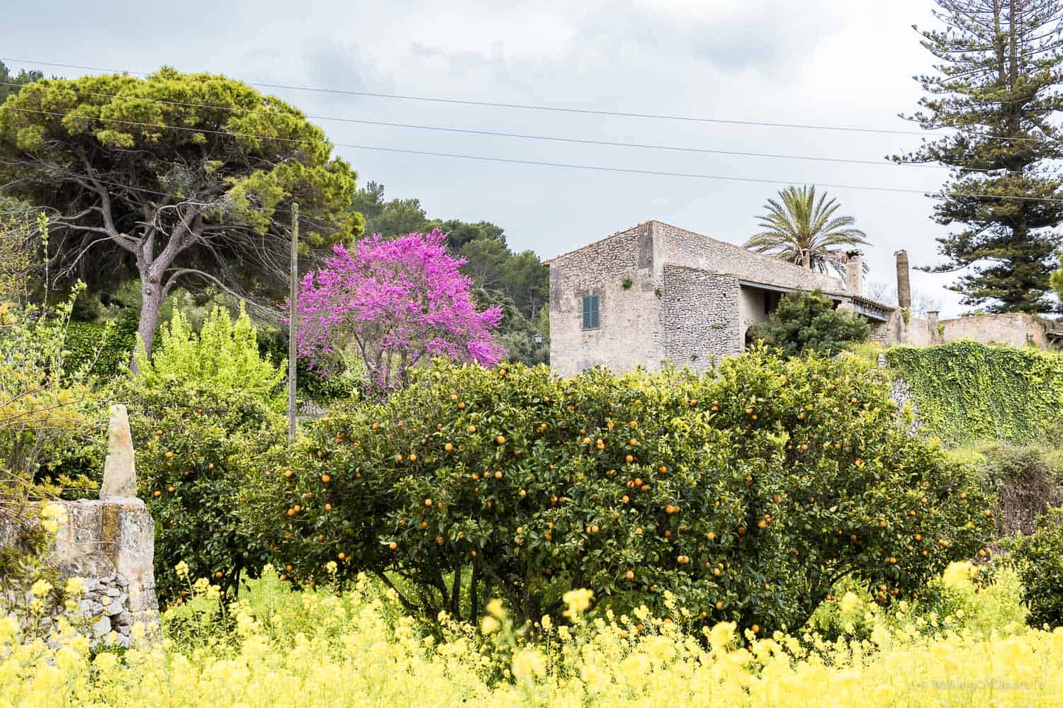 Yoga und Wandern auf Mallorca, meine ersten Erfahrungen, Retreat Finca Son Manera, Palma, Kathedrale, Arabische Bäder, Soller, walking, Best Ager, Alleinreisende