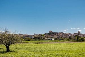 Yoga und Wandern auf Mallorca, meine ersten Erfahrungen, Retreat Finca Son Manera, Palma, Kathedrale, Arabische Bäder, Soller, walking, Best Ager, Alleinreisende