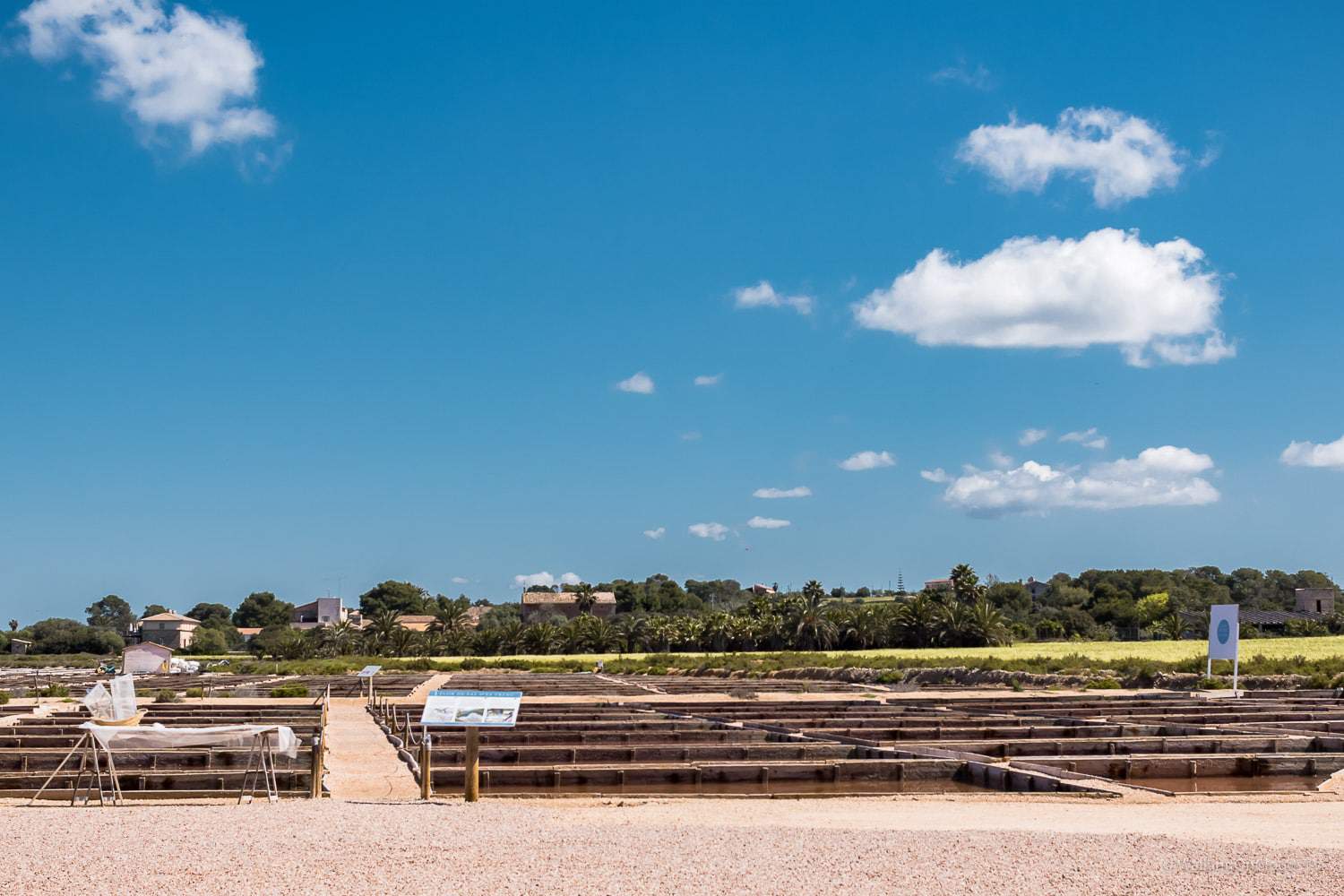 Yoga und Wandern auf Mallorca, meine ersten Erfahrungen, Retreat Finca Son Manera, Palma, Kathedrale, Arabische Bäder, Soller, walking, Best Ager, Alleinreisende