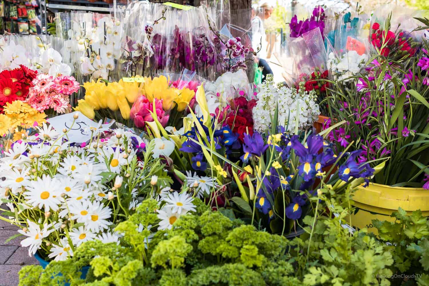 Yoga und Wandern auf Mallorca, meine ersten Erfahrungen, Retreat Finca Son Manera, Palma, Kathedrale, Arabische Bäder, Soller, walking, Best Ager, Alleinreisende