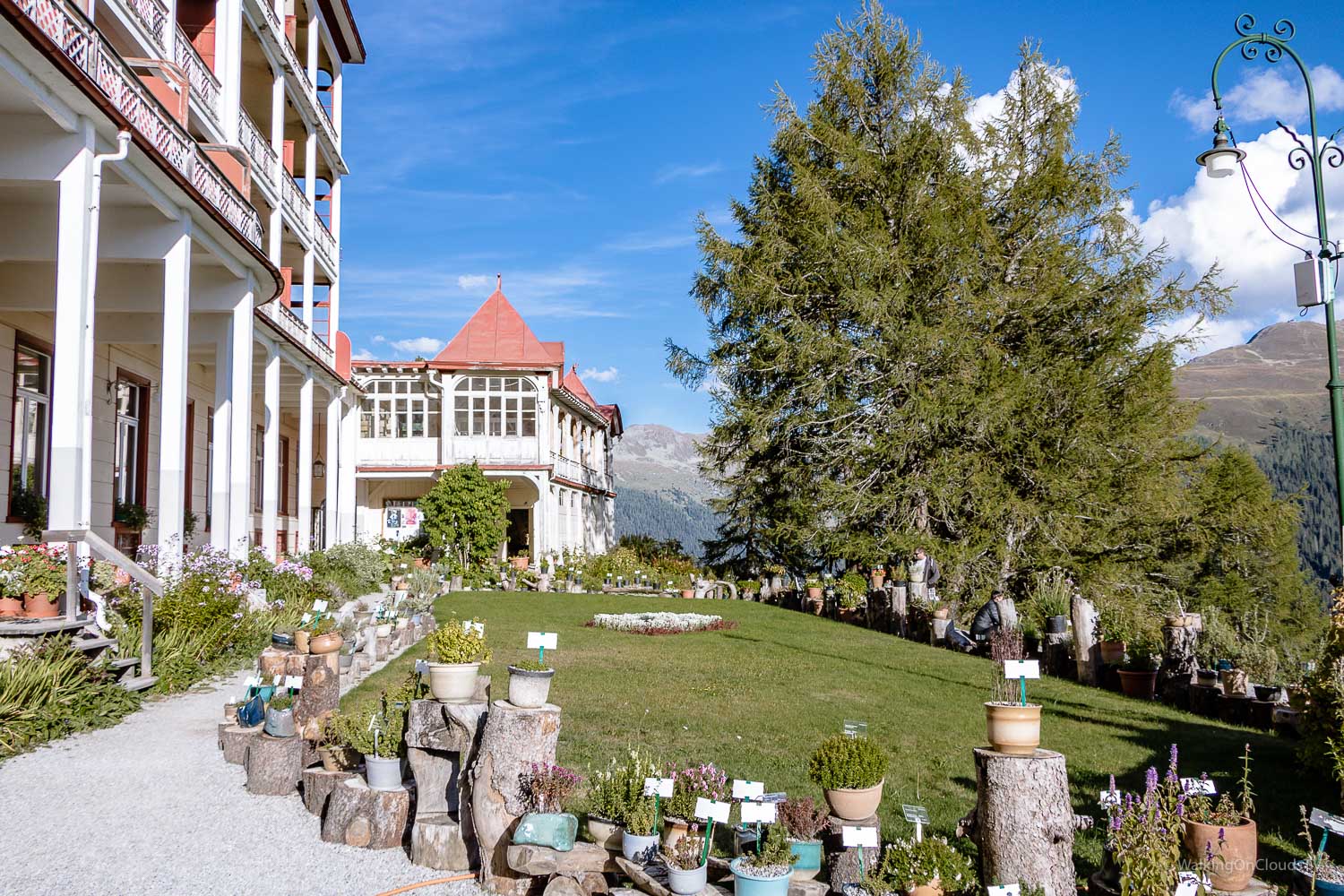 Davos - Schweiz, Tipps für einen erholsamen Urlaub. Wandern auf den Wegen von Thomas Mann und Ernst Ludwig Kirchner - Sehenswürdigkeiten - Schatzalp - Reiseblog