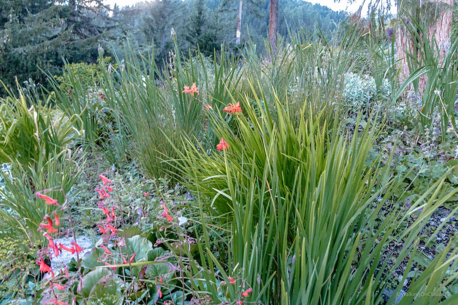 Davos - Schweiz, Tipps für einen erholsamen Urlaub. Wandern auf den Wegen von Thomas Mann und Ernst Ludwig Kirchner - Sehenswürdigkeiten - Schatzalp - Reiseblog