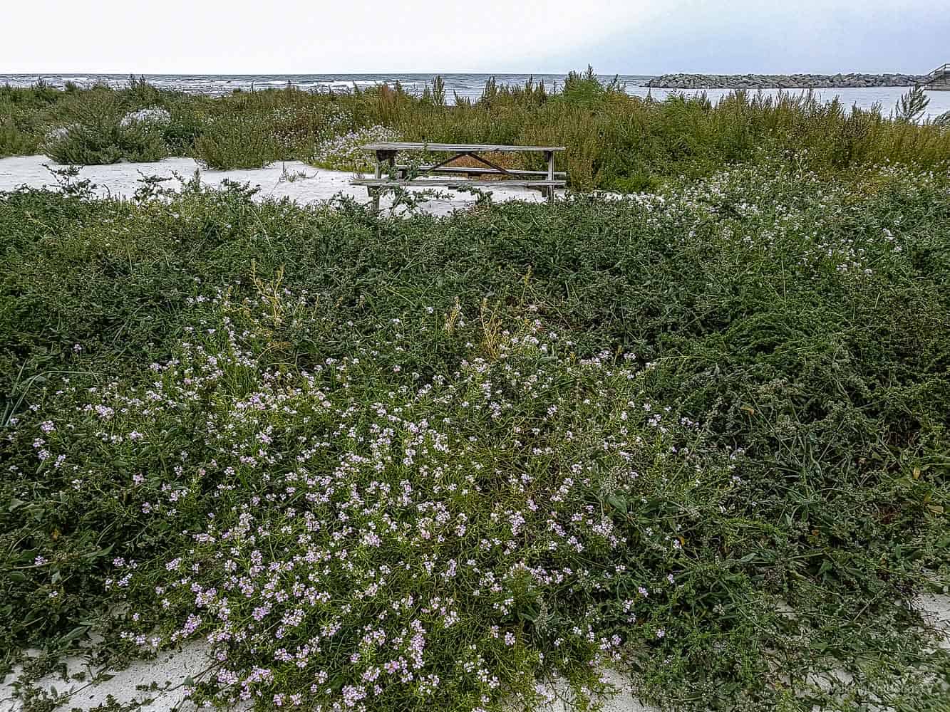Reisetipps Bornholm, Dänemark - die ruhige Insel - bekannt für Genuss, Gourmet und Erholung - Sehenswürdigkeiten Bornholm - Reiseblog