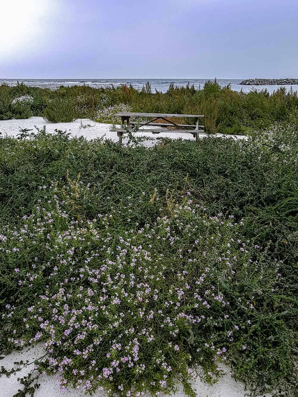 Reisetipps Bornholm, Dänemark - die ruhige Insel - bekannt für Genuss, Gourmet und Erholung - Sehenswürdigkeiten Bornholm - Reiseblog