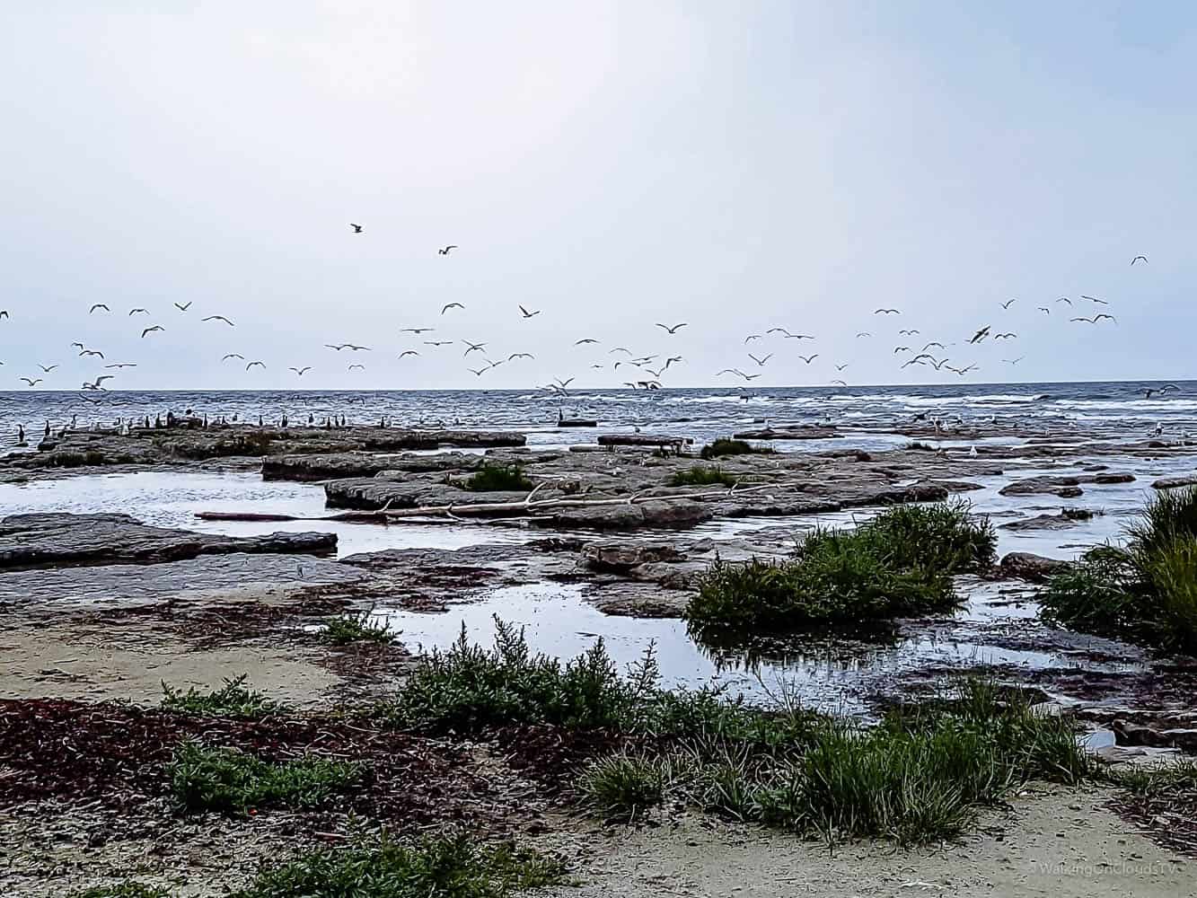Reisetipps Bornholm, Dänemark - die ruhige Insel - bekannt für Genuss, Gourmet und Erholung - Sehenswürdigkeiten Bornholm - Reiseblog