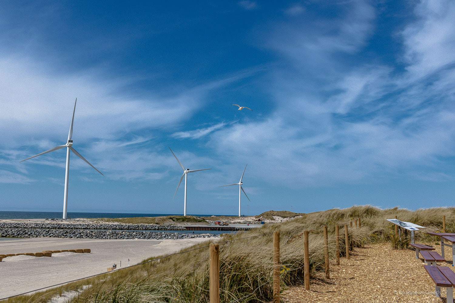 Hvide Sande in Dänemark – Hafen und Sehenswürdigkeiten an der Nordsee