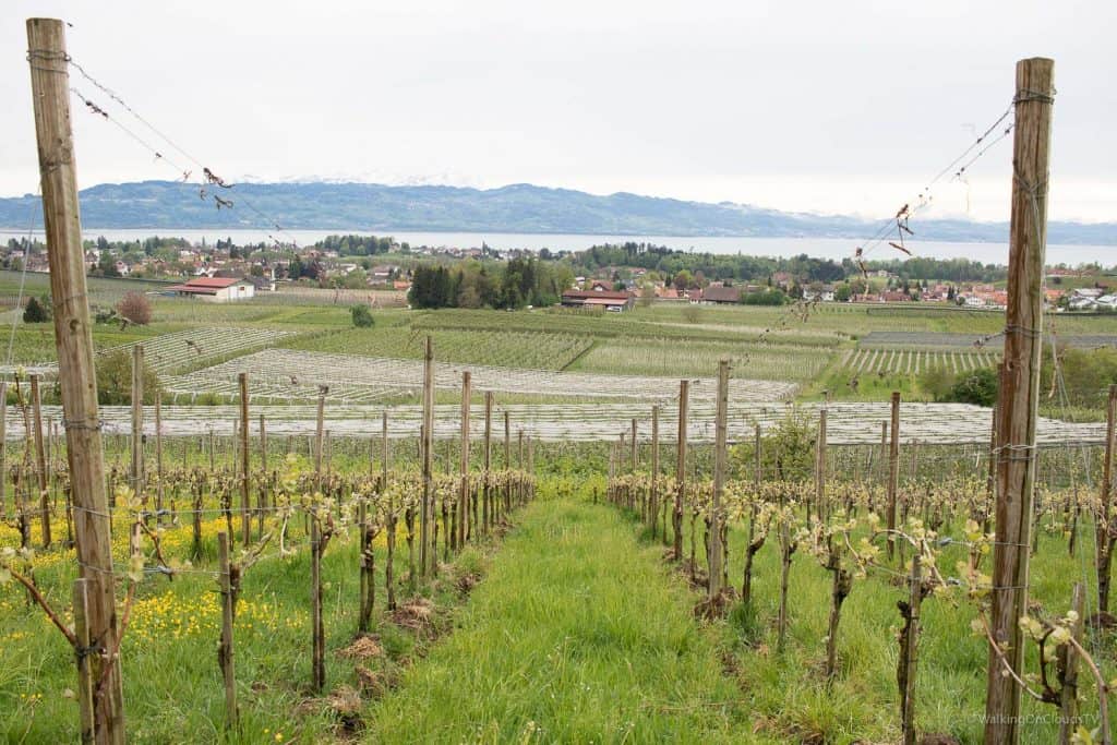 Kurzurlaub - am Bodensee - Lindau - Bregenz - Dornbirn - Thurgau - Überlingen - drei Länder grenzen an den Bodensee Deutschland, Österreich, Schweiz