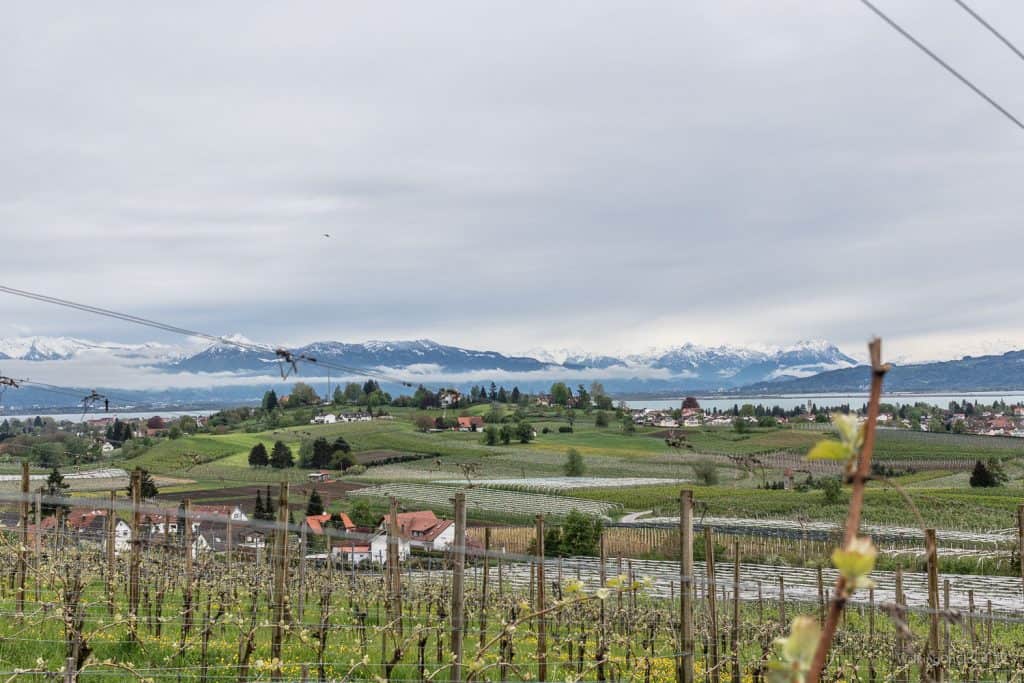 Kurzurlaub - am Bodensee - Lindau - Bregenz - Dornbirn - Thurgau - Überlingen - drei Länder grenzen an den Bodensee Deutschland, Österreich, Schweiz