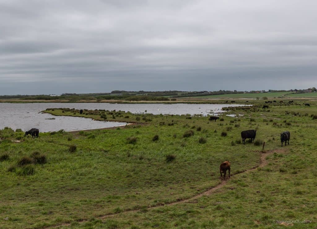 Hvide-Sande - Dänemark - Visit Denmark - Ringkøbing - Nordsee - Fjord - Best Ager Reiseblog - Reiseblogger - Travelblog - Sehenswürdigkeiten - Reisetipps