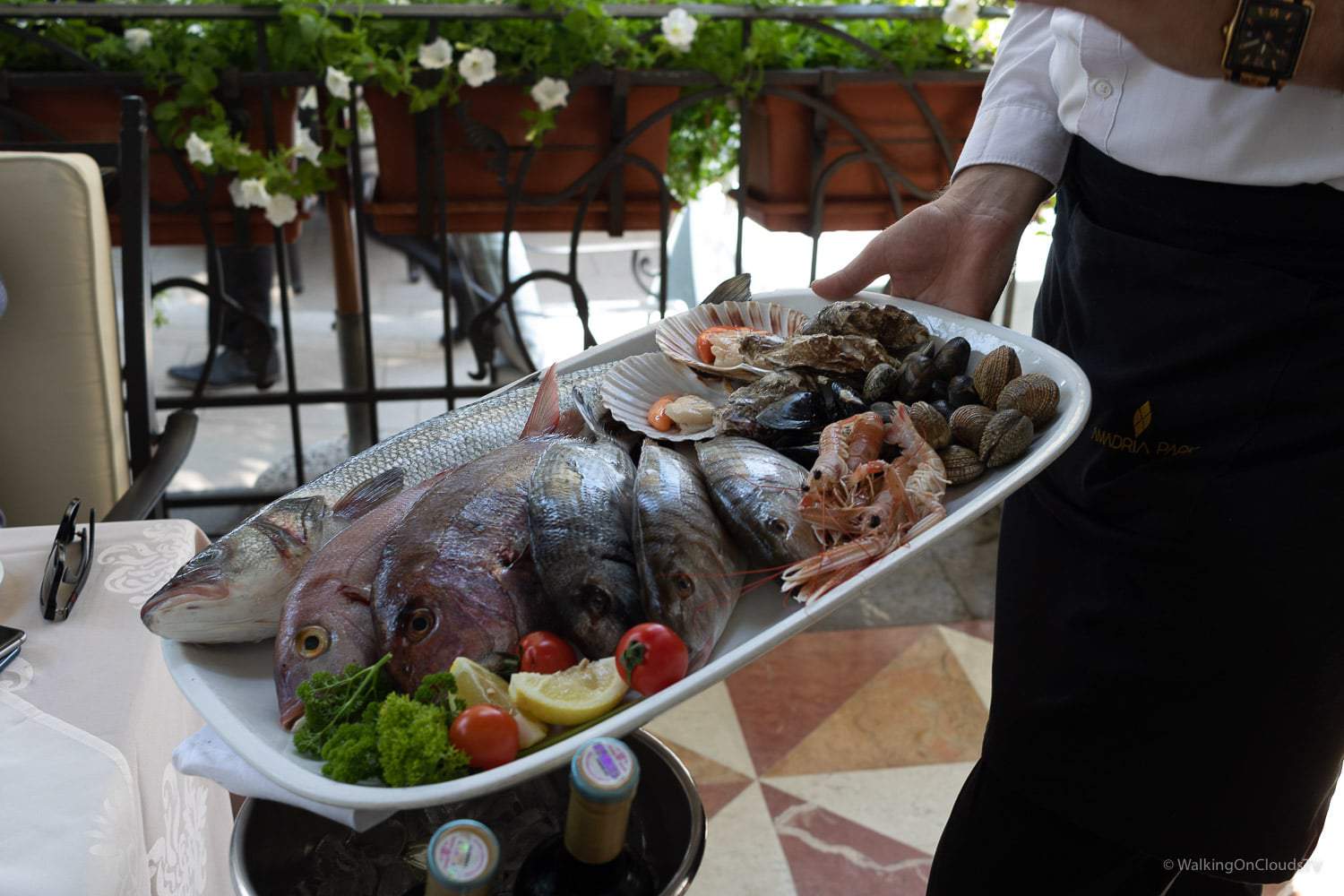 Amadria Park Hotel Opatija Tour - 6 Hotels für erholsame und romantische Tage an der Kvarner Bucht. Reisetipps für Opatija und Brijuni Park