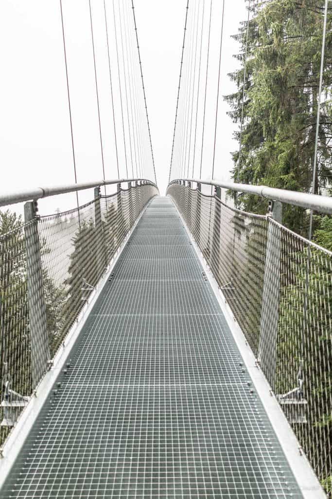 Nördlicher Schwarzwald - Sehenswürdigkeiten und Reisetipps - Hotel Enztal - Wellness - Entspannung - Enzklösterle - Heidelbeerhaus - Sommerberg - Baumwipfelpfad - Wild Line Hängebrücke