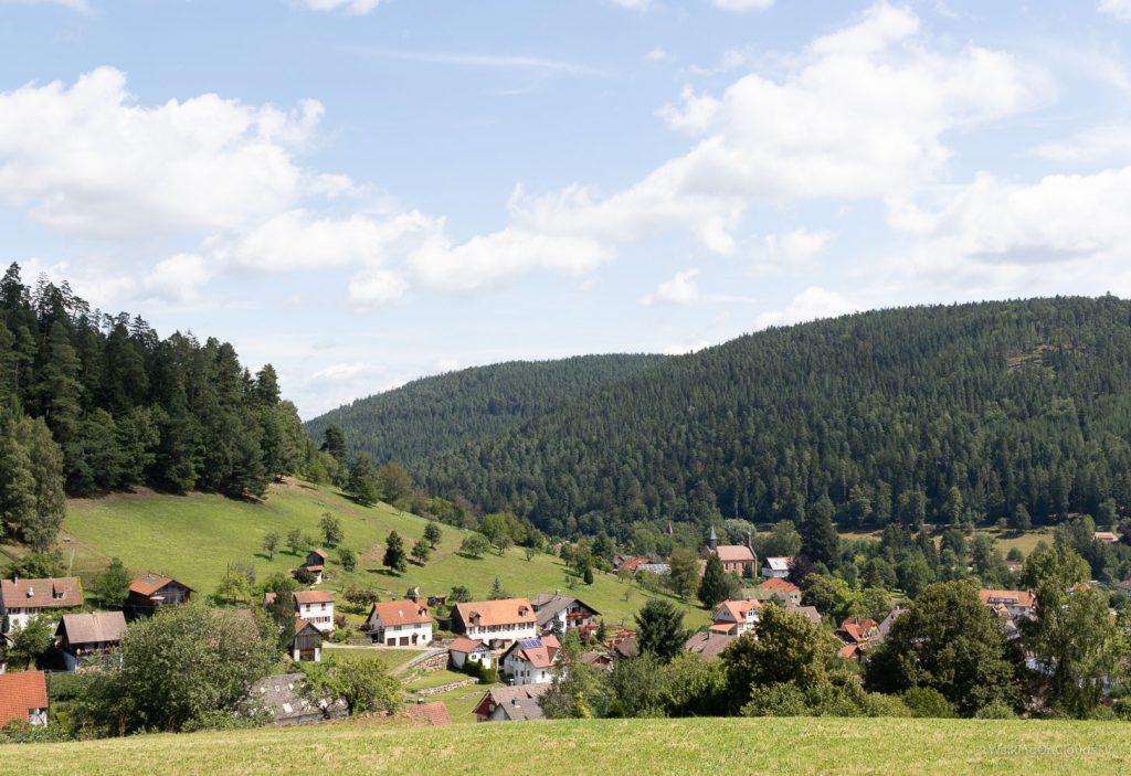 Nördlicher Schwarzwald - Sehenswürdigkeiten und Reisetipps - Hotel Enztal - Wellness - Entspannung - Enzklösterle - Heidelbeerhaus - Sommerberg - Baumwipfelpfad - Wild Line Hängebrücke