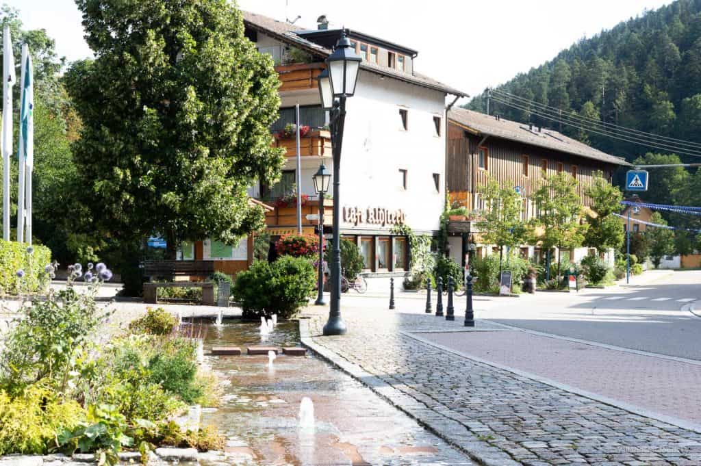 Nördlicher Schwarzwald - Sehenswürdigkeiten und Reisetipps - Hotel Enztal - Wellness - Entspannung - Enzklösterle - Heidelbeerhaus - Sommerberg - Baumwipfelpfad - Wild Line Hängebrücke