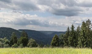 Nördlicher Schwarzwald - Sehenswürdigkeiten und Reisetipps - Hotel KroneLamm - Wellness - Entspannung - Bad Teinach - Zavelstein - Premiumweg "Der Teinacher"