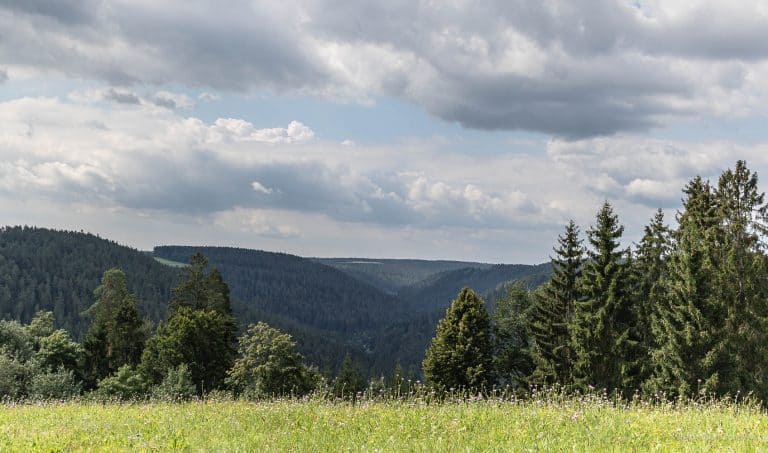 Nördlicher Schwarzwald - Sehenswürdigkeiten und Reisetipps - Hotel KroneLamm - Wellness - Entspannung - Bad Teinach - Zavelstein - Premiumweg "Der Teinacher"